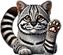 Gato andino